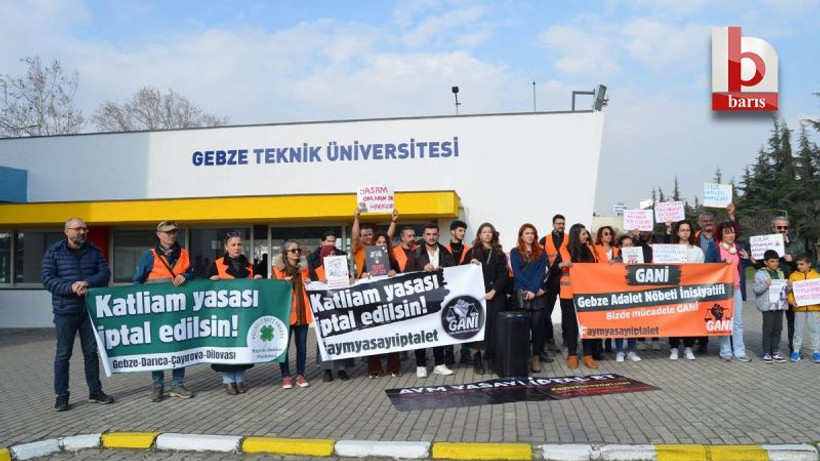 Hayvan severler sorumluların cezalandırılmasını istiyor
