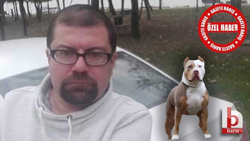 İzmit’te kadına şiddete müdahale ederken kadının köpeği tarafından ısırıldı!