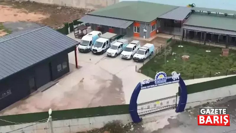 Gebze Belediyesi hayvan maması satın alacak