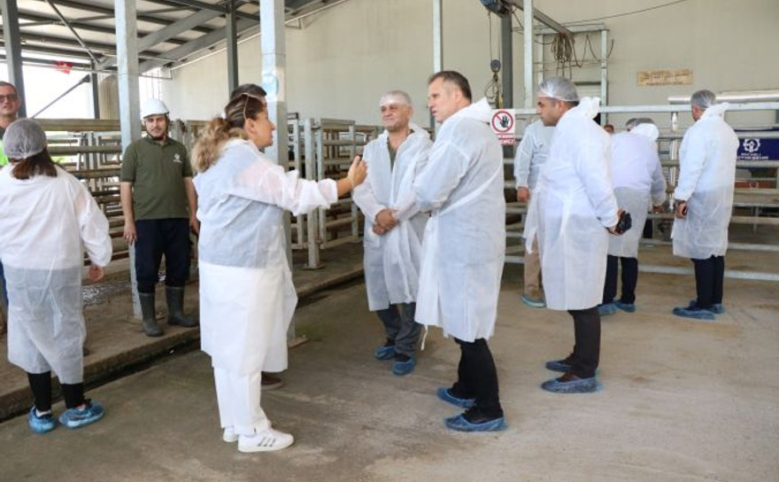 Büyükşehir'in modern mezbahasına ziyaret