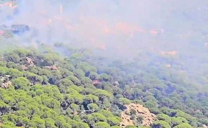 İzmir’de orman yangını