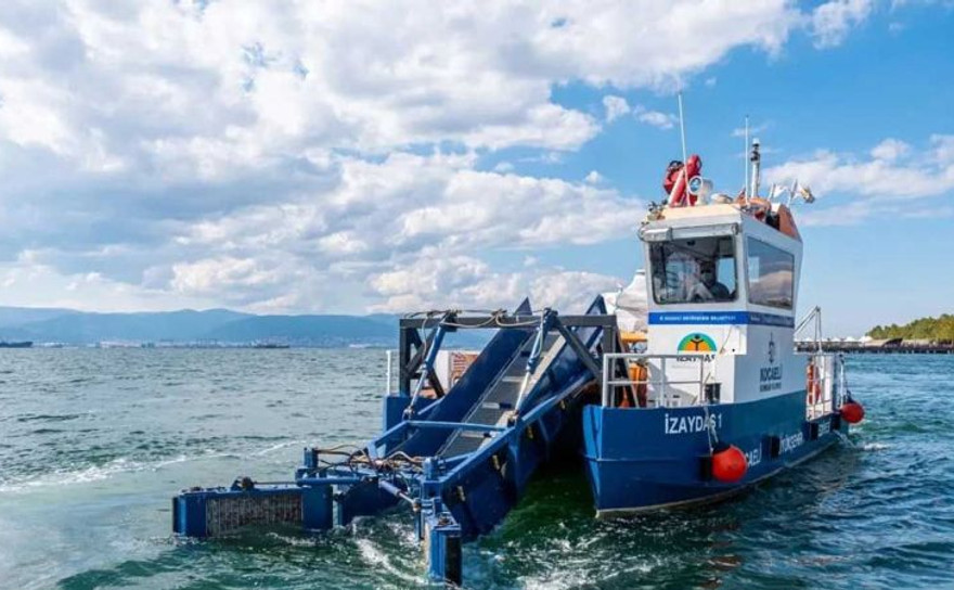 İzmit Körfezi'nde balık popülasyonu ve biyoçeşitlilik arttı