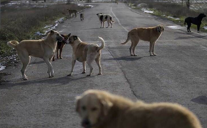 Katliam yasası AYM'nin gündeminde