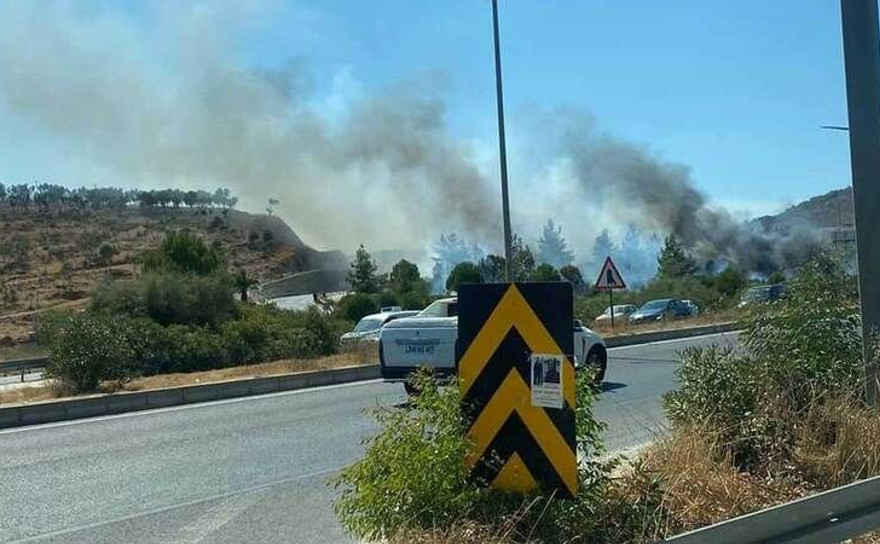 Milas'taki orman yangını kontrol altına alındı