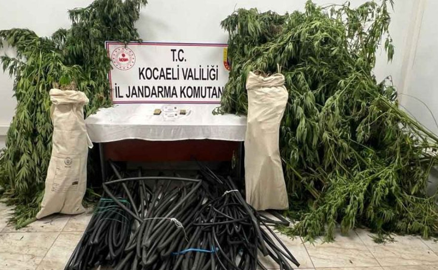 3 ilçede uyuşturucu operasyonu: 4 gözaltı
