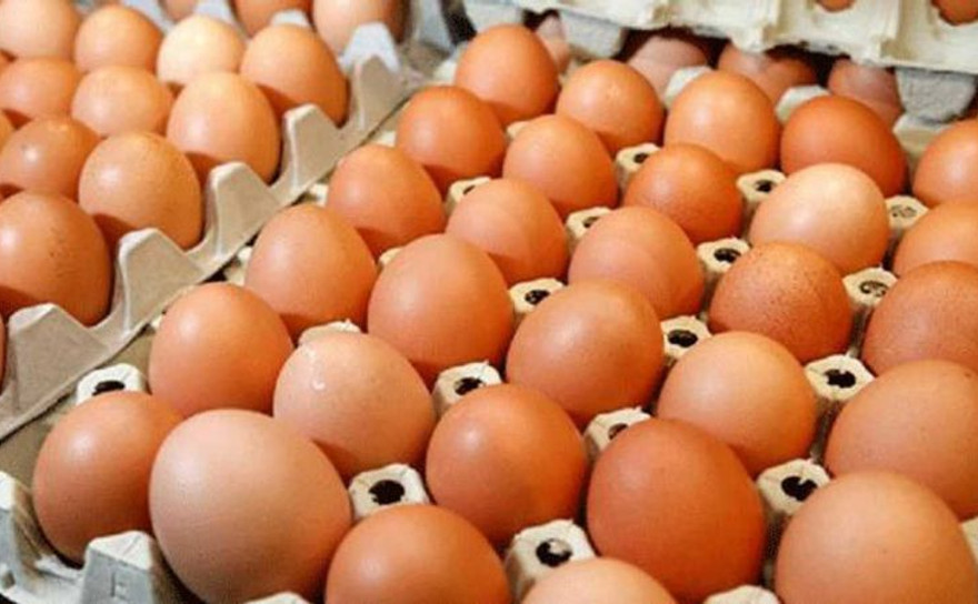 Tavuk yumurtası üretiminde artış!