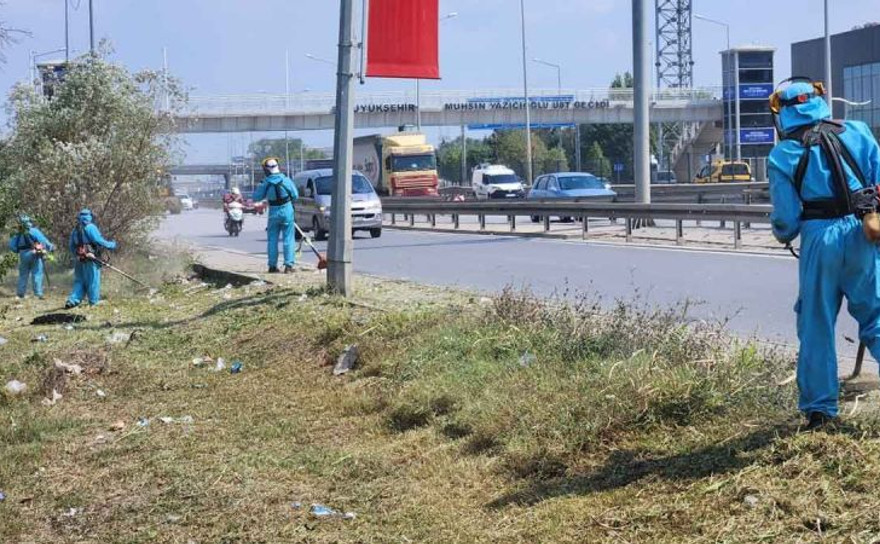 Kentin dört bir yanında sonbahar temizliği