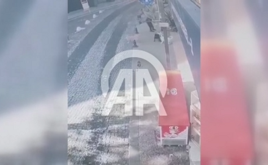 Kocaeli'de pitbull dehşeti!