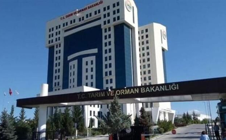 Komşu Sakarya’da eşek eti skandalı! 3 firma tespit edildi