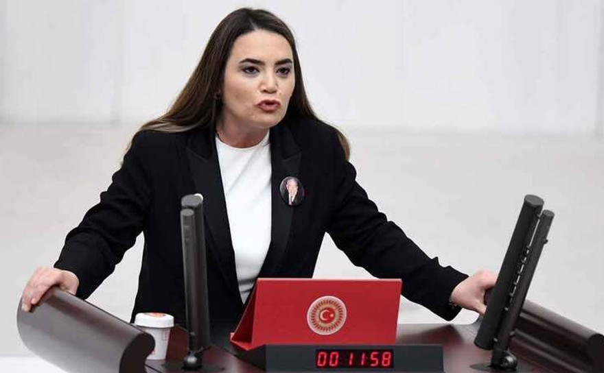 Türkeş'in kızından sert çıkış: Babamın resimlerini indir