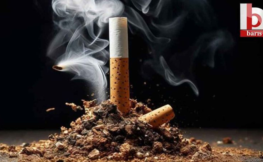 Sigara ve alkol zammı yolda!