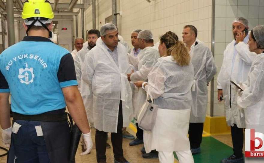 Büyükşehir Mezbahası modern ve hijyenik hizmet sunmaya devam ediyor