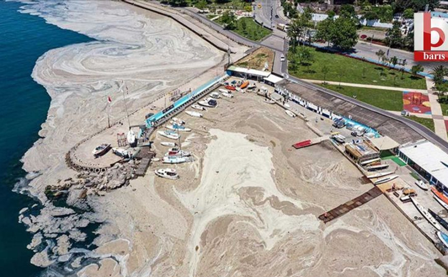 Marmara Denizi'ndeki müsilaj sebebiyle bakanlık 2 belediyeye ceza kesti!