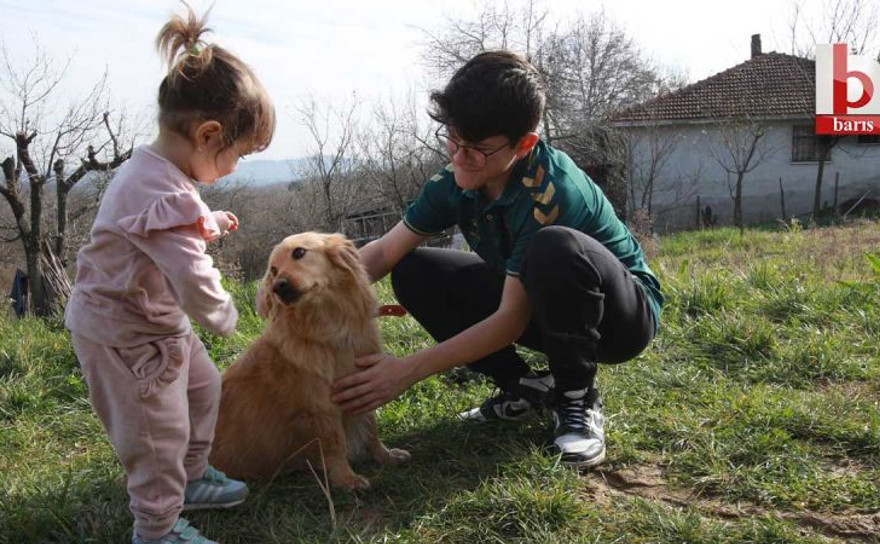 Patilik Mutlu Sokak Hayvanları Kasabası, ailelere can dostları kazandırıyor