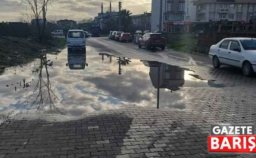 Kartepe’de bu sokak vatandaşa çile oldu!