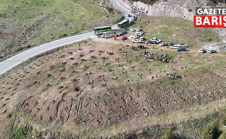 Büyükşehir’den 1 Mart anısına anlamlı hareket: 392 ağaçla “Hatıra Ormanı”