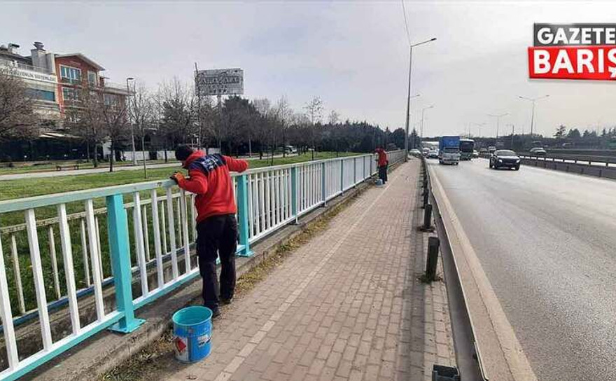 Büyükşehir, D-100 Karayolu’na estetik ve güvenlik katıyor