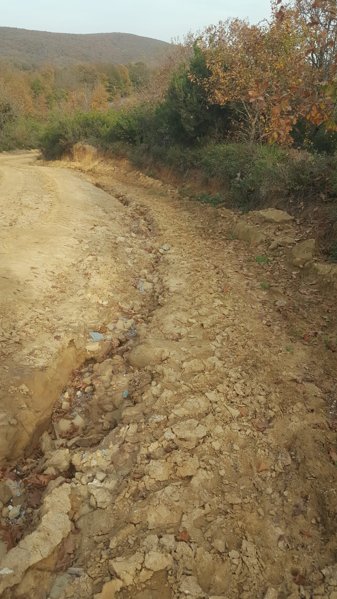 İzmit’te köy muhtarı, rezaletin fotoğrafını paylaşıp böyle isyan etti!