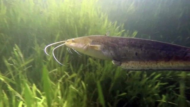 Sapanca Gölü’nü ilk kez böyle göreceksiniz