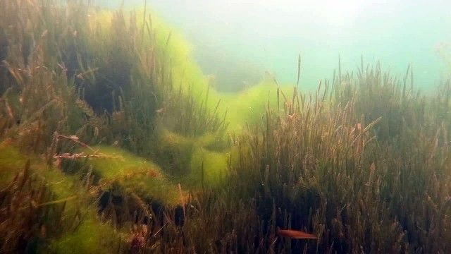 Sapanca Gölü’nü ilk kez böyle göreceksiniz