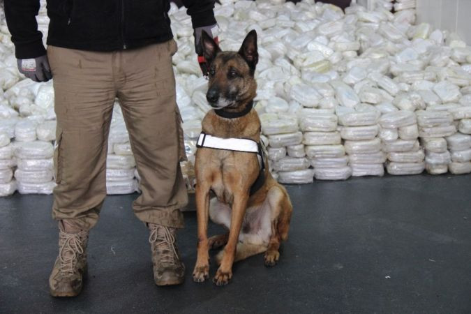 4 ton uyuşturucu, polisi bile şok etti