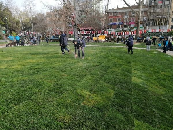 Tartışmalar devam ederken Büyükşehir jet hızıyla yeşillendirdi