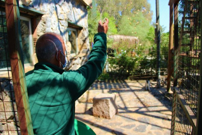 "Bu hayvanları en kötü şartlarda ülkeye sokup satıyorlar"