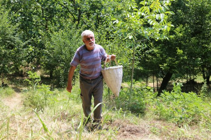 Erik fiyatlarından üretici tüccarları, tüccarlar üreticiyi sorumlu tutuyor