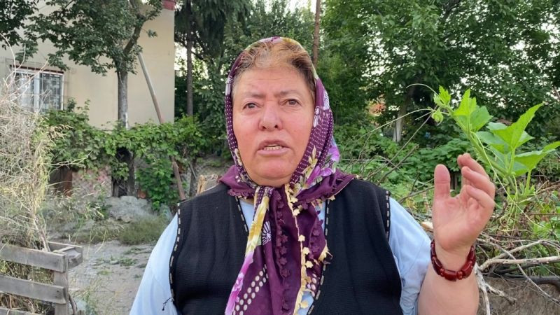 Köpeklerin tavuklarına saldırdığını sanıp kalkınca yangını fark etti