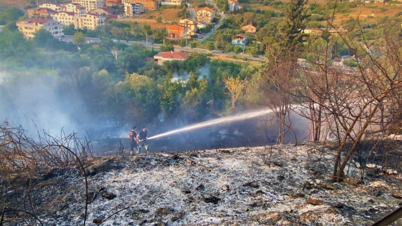 Kocaeli’de ağaçlık alan alevlere teslim oldu