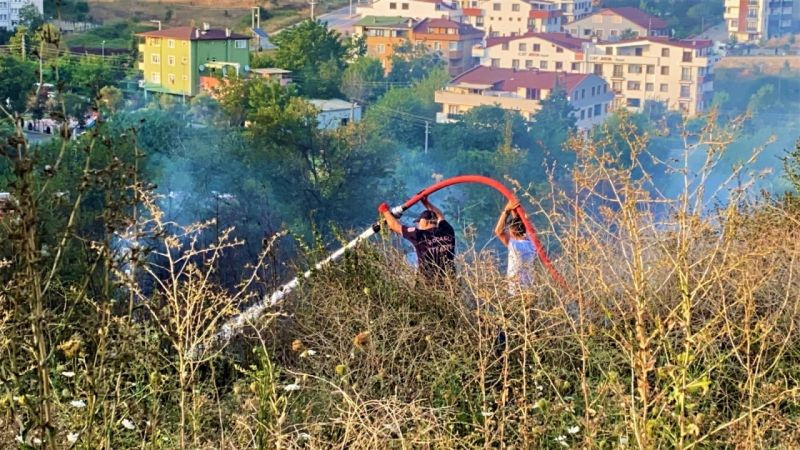 Kocaeli’de ağaçlık alan alevlere teslim oldu