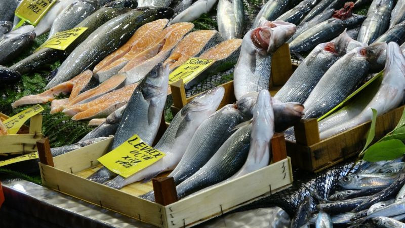Kocaeli'de balık fiyatları ne zaman düşecek?