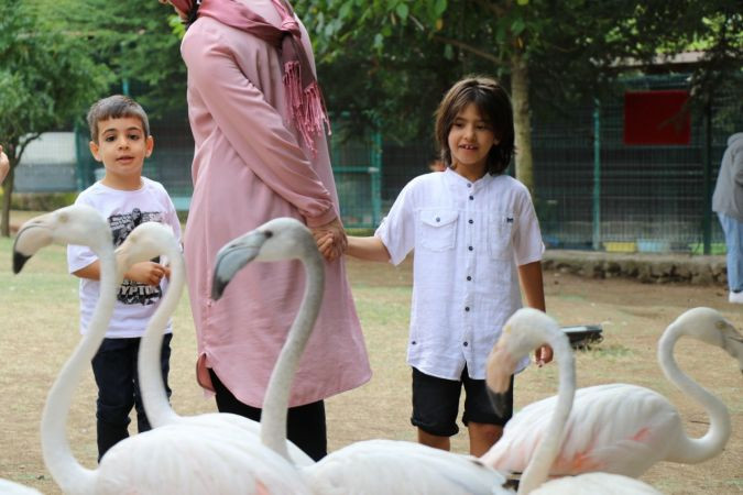 Otizmle 4 duvar arasında baş etmek mümkün değil