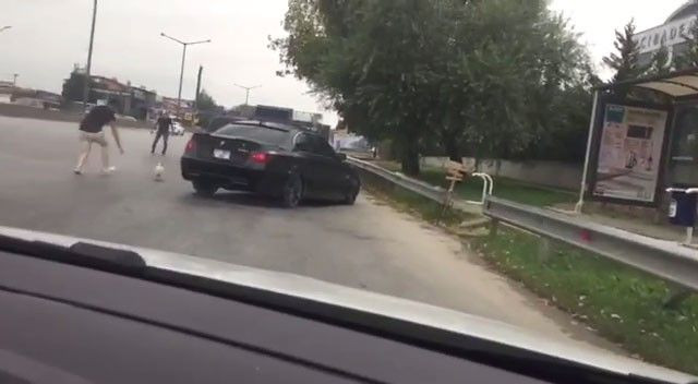 D-100'e kaçan köpek, trafiği alt üst etti