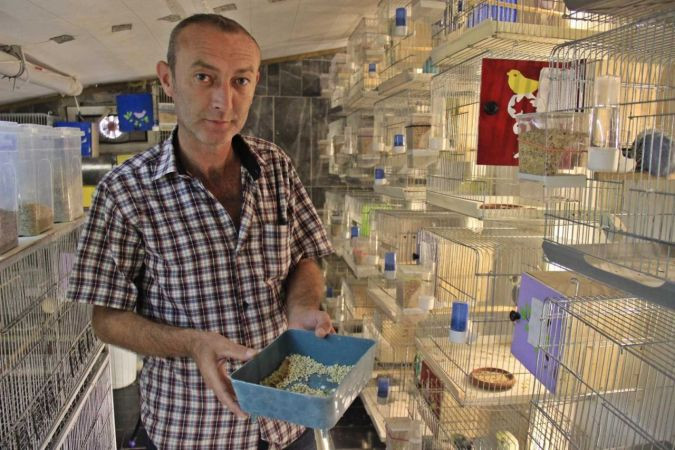 Alkol bağımlısıydı, bir muhabbet kuşu hayatını değiştirdi