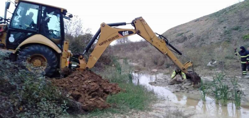 Su kanalında mahsur kalan büyükbaş hayvan kurtarıldı