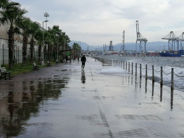 Kocaeli'de lodos hayatı olumsuz etkiledi
