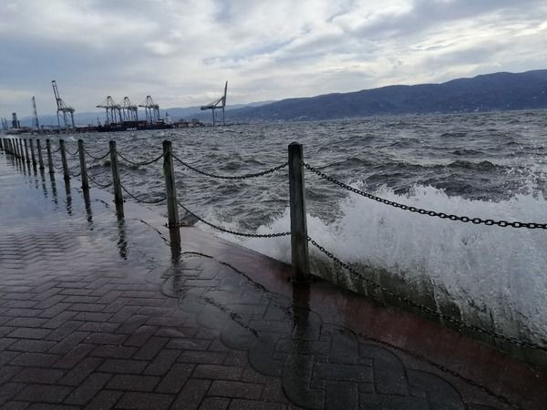 Kocaeli'de lodos hayatı olumsuz etkiledi