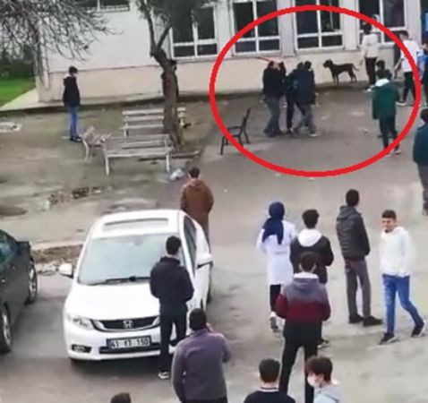 Liseden köpek saldırısına dair açıklama