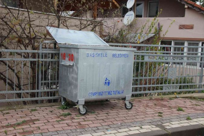 Çöpün yanında ölmüş halde 2 kedi ve 2 köpek bulundu