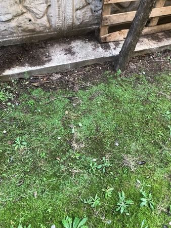 Güneşimizi kestiler, binamız çatladı, bahçemiz çöktü… Belediyeye İSYAN!