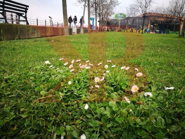 Kocaeli’de doğa, yalancı bahara kandı