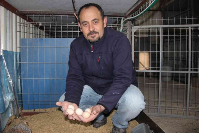 Hobi olarak başladığı ek işiydi, işsiz kalınca tek işi oldu