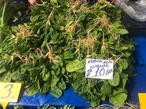 Yazık bu millete… Pazardaki fiyatların hali içler acısı