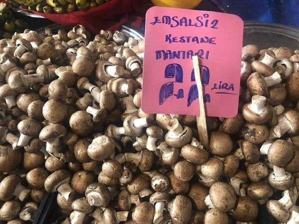 Yazık bu millete… Pazardaki fiyatların hali içler acısı