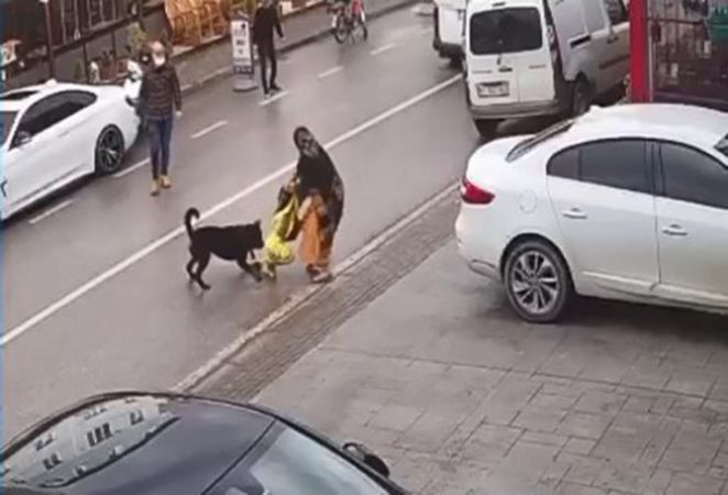 Çocuğu köpek saldırısından koruyan esnaf o anları anlattı