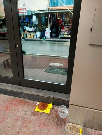 Kasiyer kedi güldürdü!