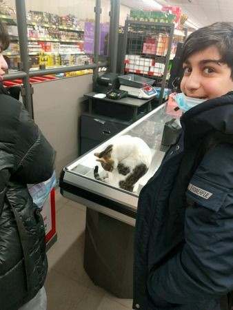 Kasiyer kedi güldürdü!
