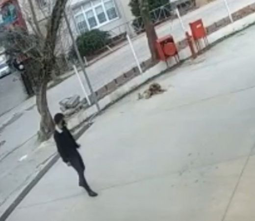 Otomobilin altında kalan köpek metrelerce sürüklendi