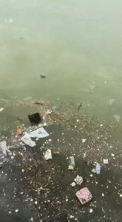 Kocaeli Körfezi ÇÖPLÜĞE DÖNDÜ
